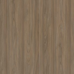 TH 1216 NT Zurich Elm